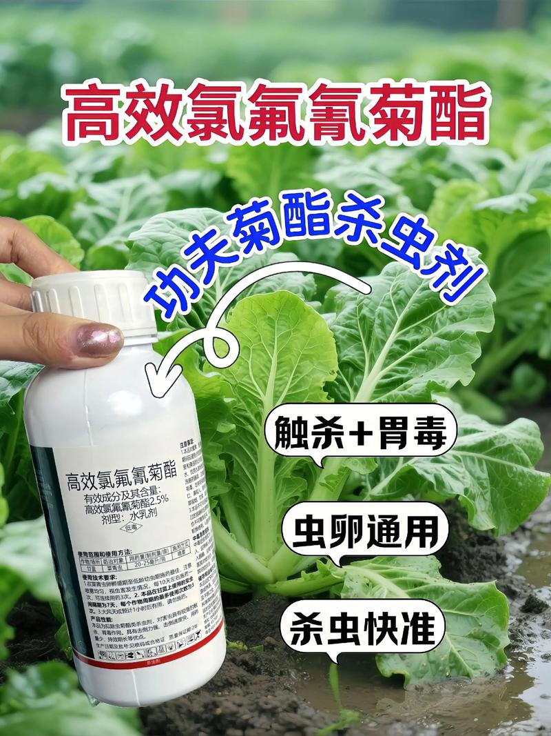 烟台代生中心:农药对供卵代生妈妈的危害